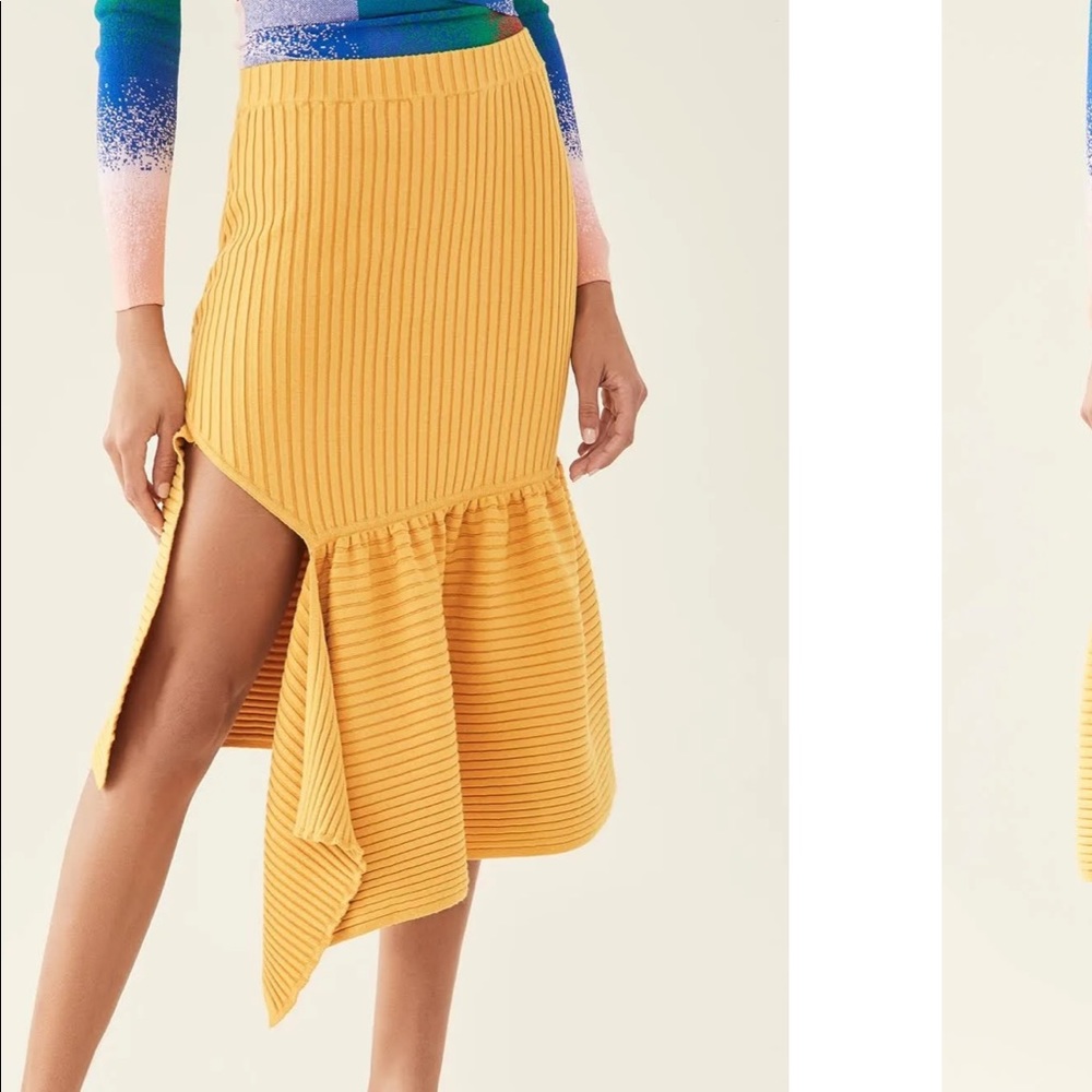 Revolve Skirt - Picture 4 of 6